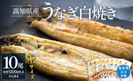 吉川水産 高知県産うなぎの白焼 中サイズ(120～140g)×10尾 タレ付き 自宅用エコ包装 yw-0048