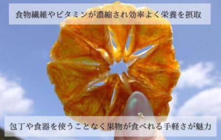 ドライフルーツ みかんチップ 100g 20g × 5袋 和歌山県産 果物使用 自社製造 