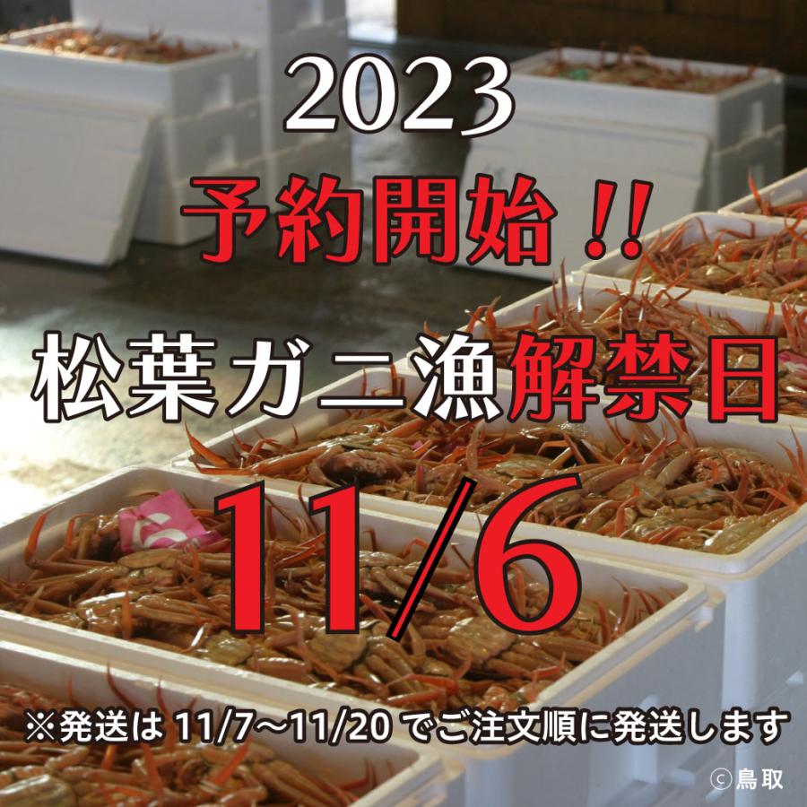 松葉ガニ ギフト 活 ボイル タグ付き 約650g 1枚 姿 ズワイガニ かに カニ 松葉蟹 生きたまま 松葉がに 産地直送 鳥取 送料無料（北海道・沖縄を除く）