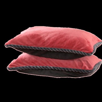 南極人加絨純色枕套時尚牛奶絨枕心套48*74cm一對裝加厚金貂絨枕