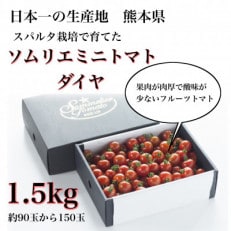 塩トマトのようなミニトマト「ソムリエミニトマト　ダイヤ1.5kg」