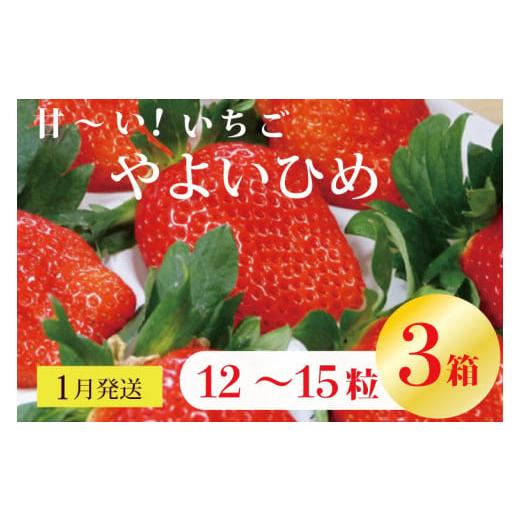 ふるさと納税 茨城県 行方市 V-7 甘〜い！いちご　やよいひめ　12粒〜15粒入り　3箱