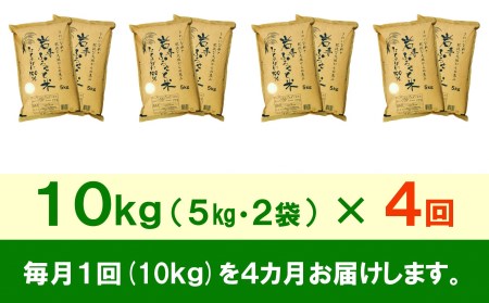 3人に1人がリピーター!☆全4回定期便☆ 岩手ふるさと米 10kg(5㎏×2)×4ヶ月 令和5年産 新米 一等米ひとめぼれ 東北有数のお米の産地 岩手県奥州市産[U0163]