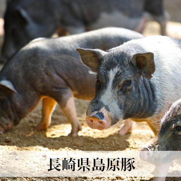 国産 豚肉 豚ロース厚切り ２枚入 長崎県産 チルド クール便