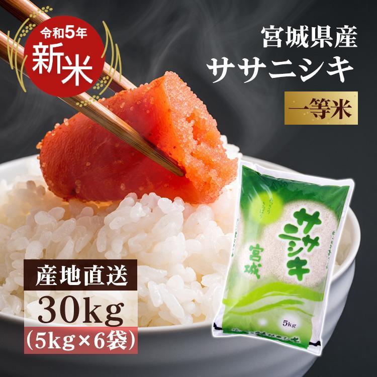 ササニシキ 30kg お米 5kg ささにしき 送料無料 白米 ご飯 米30kg 安い 5kg×6袋 一等米 宮城県産 うるち米 精白米 令和5年産