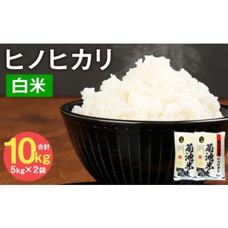 ふるさと納税 熊本県菊池産 ヒノヒカリ 5kg×2袋 計10kg 精米 お米 白米 令和5年産 熊本県菊池市