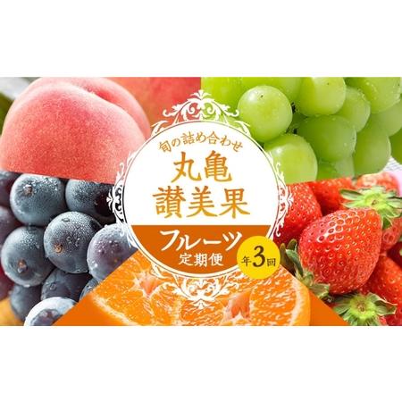 ふるさと納税 フルーツ定期便 丸亀讃美果 計3回定期便／ 果実 果物 旬 定期配送 シャインマスカット 桃 みかん いちご ピオーネ ぶどう　詰め合.. 香川県丸亀市