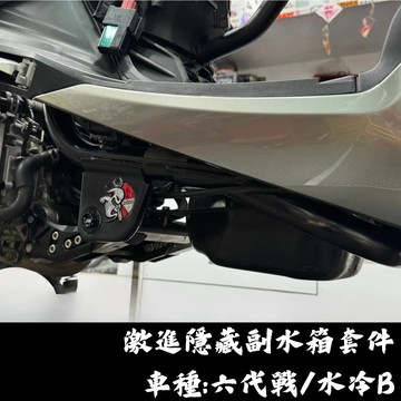 【現貨秒發】六代戰隱藏副水箱套件 水冷BWS隱藏副水箱套件 激進六代戰 水冷BWS 激進隱藏副水箱套件