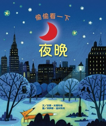 偷偷看一下：夜晚[二手書_良好]