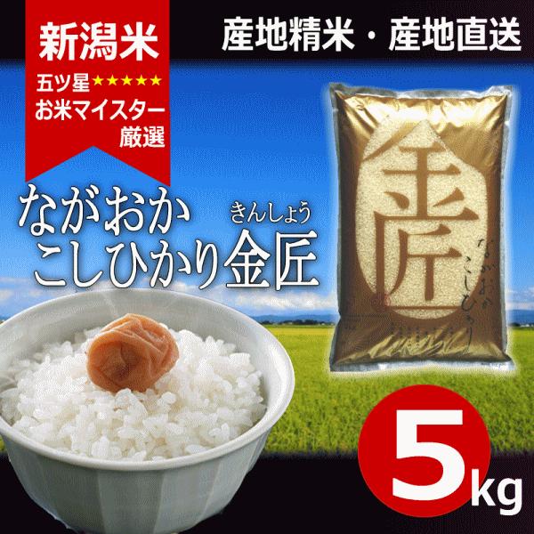 コシヒカリ 5kg 新潟県産コシヒカリ ながおかこしひかり 金匠 長岡産 令和５年産