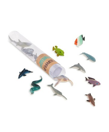 TERRA 海洋生物(拿手罐)