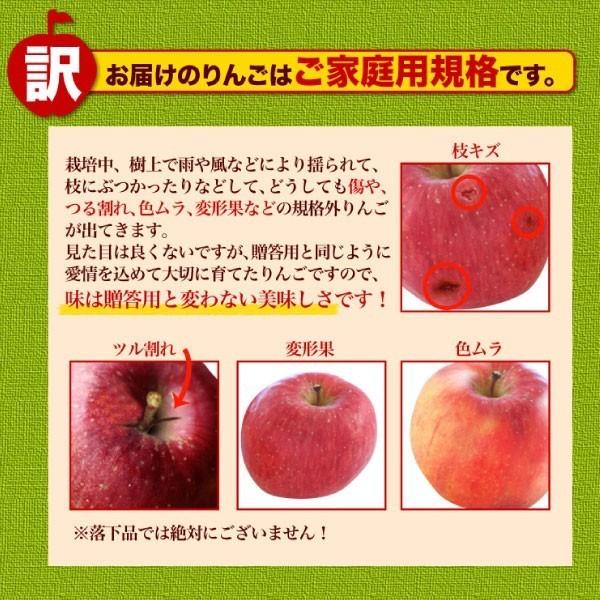 予約商品 りんご 青森 葉とらず サンふじ ご家庭用 約9kg 約3kg×3箱ちょっぴり 訳あり 送料無料 産直 世界が認めたリンゴ Y常