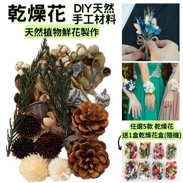 【A-ONE】乾燥花 永生花 DIY材料包 松果 樹葉 短枝花材 花藝材料包 DIY配件 B11 綜合乾果盒F_廠商直送