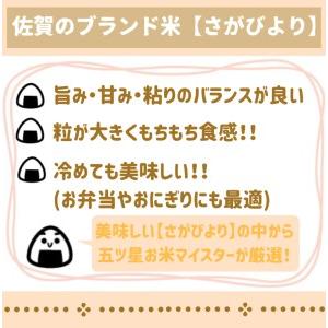 ふるさと納税 CI387_無洗米さがびより５ｋｇ 佐賀県みやき町