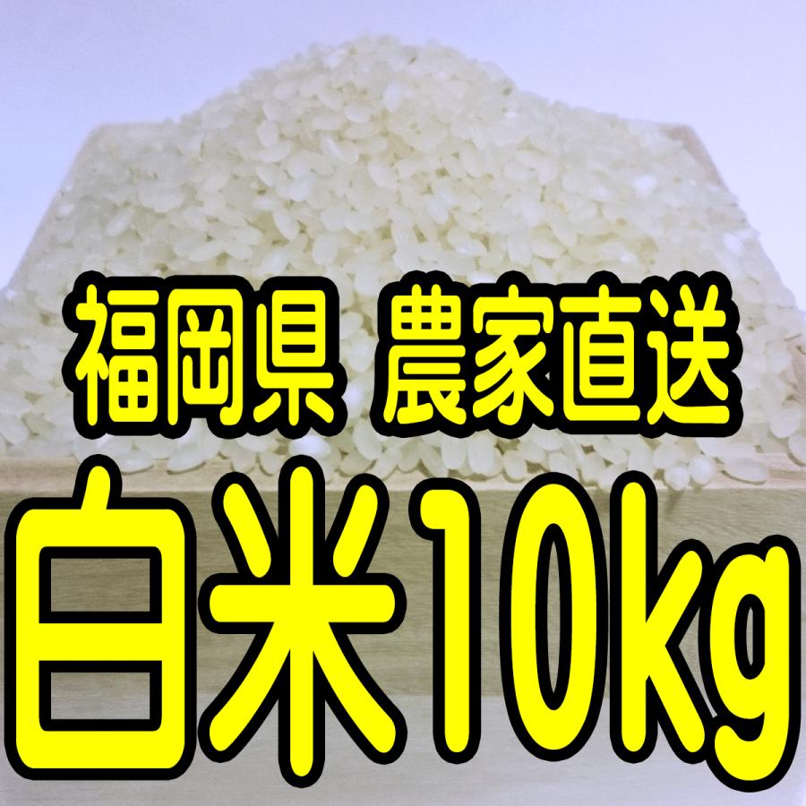 福岡県産 無農薬栽培米 白米10キロ