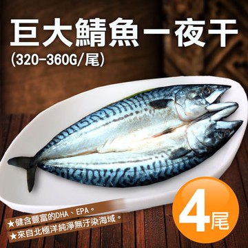 【築地一番鮮】【築地一番鮮】北極洋｜特大｜鯖魚一夜干320-360g｜4尾