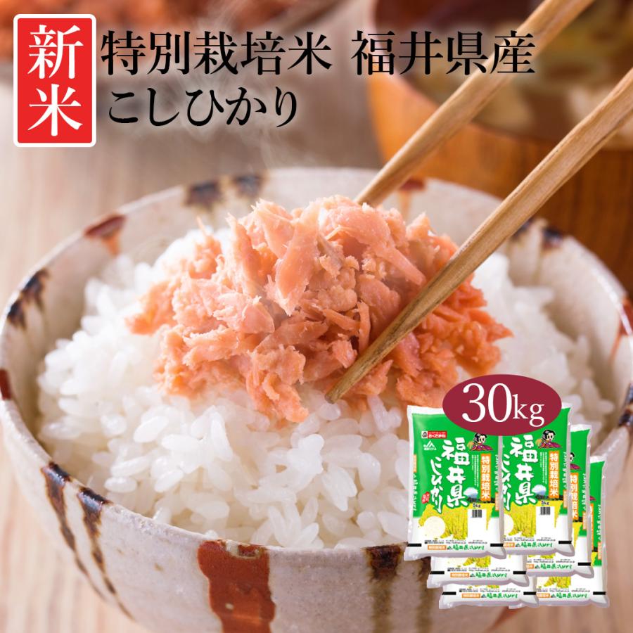 米 お米 米30kg 白米 送料無料 コシヒカリ 福井県産 安い 米 30kg こめ30kg 米30キロ お米30キロ お米30kg 精米 単一原料米 令和5年産 新米 美味しい 特別栽培米