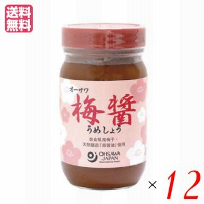 梅醤 練り梅 うめびしお オーサワ 梅醤（うめしょう） 250g １２個セット