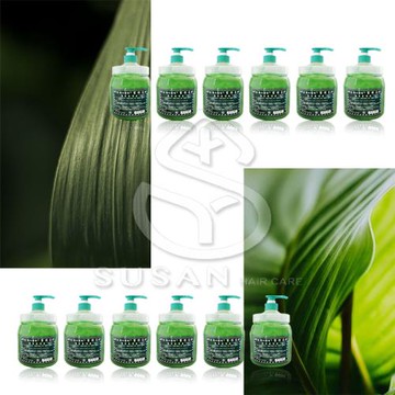 舒珊SUSAN-葉綠素頭皮調理霜-十二入組