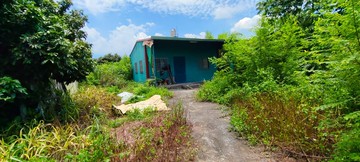 屏東內埔臨路農地.近內埔國中.東寧國小｜屏東縣內埔鄉興義段