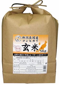 新潟 長岡産 コシヒカリ 玄米 5kg 令和3年産