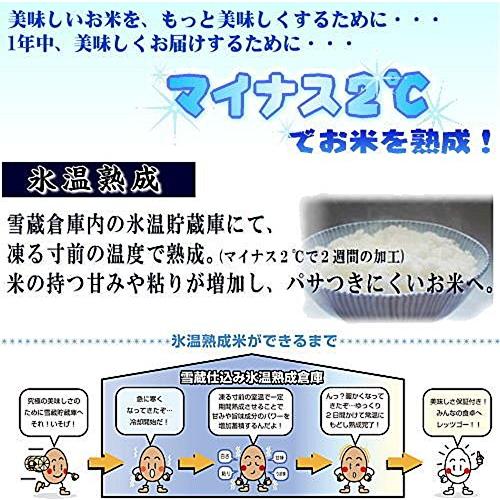 新潟県魚沼産 白米 雪蔵氷温熟成 こしひかり 3kg