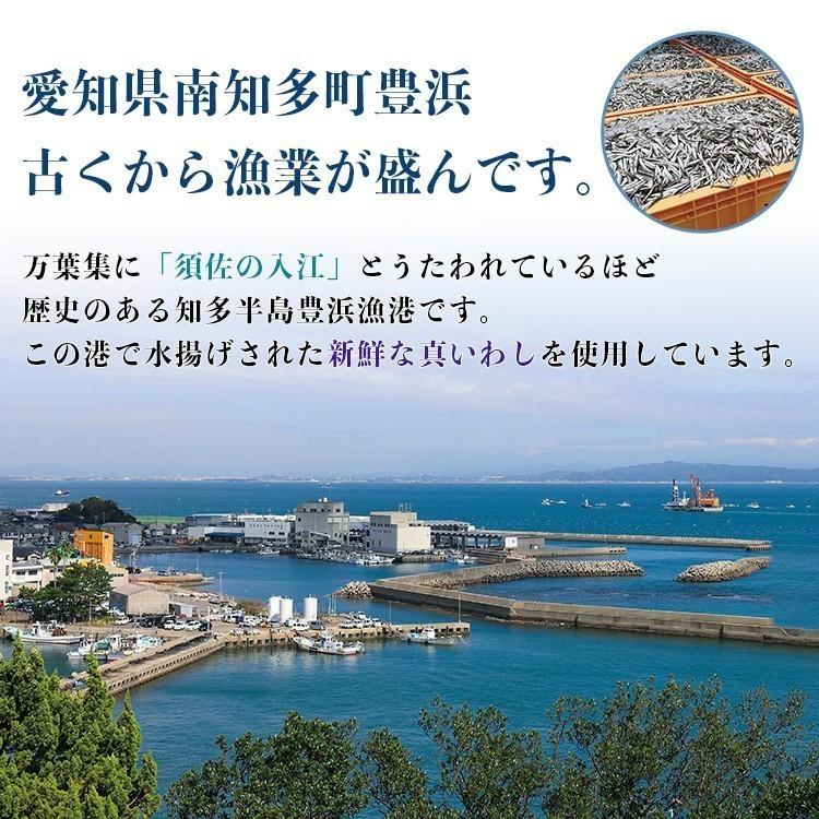 おいしい真いわし煮 日本自然発酵 150g×1個 食品