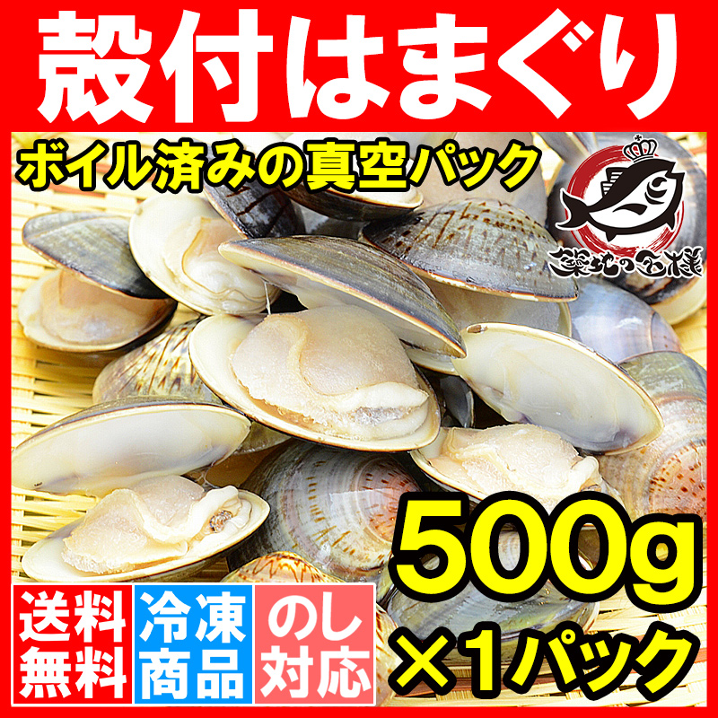 送料無料 はまぐり ５００ｇ  ハマグリ 蛤 ボイルハマグリ