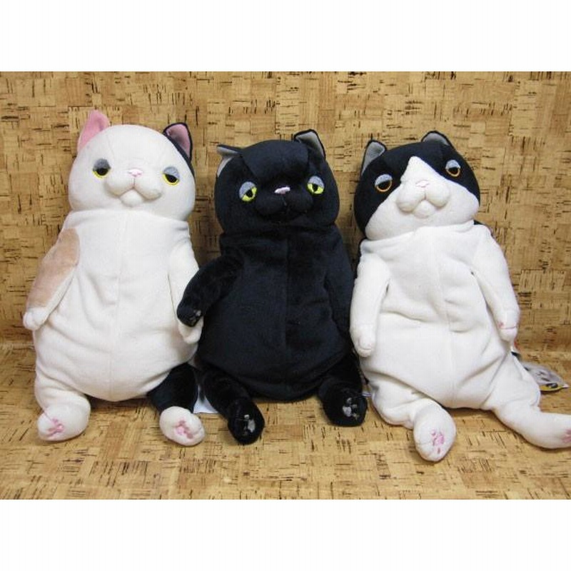 M 暑 もちねこ