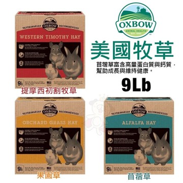 美國OXBOW 牧草系列 9磅 一口咬苜蓿草/提摩西初割牧草/果園草 天然原野種植『寵喵樂旗艦店』