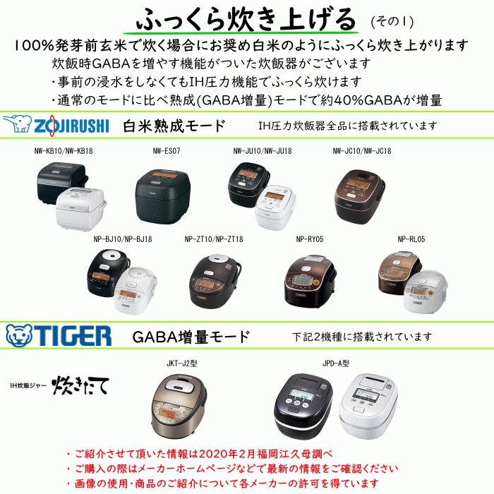 無農薬 無肥料 発芽前玄米10Kg 福岡県産 令和5年度産 元気つくし 0.5分づき米 発芽玄米 筑後久保農園 自然栽培米