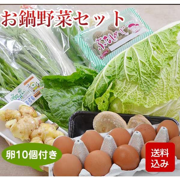 お鍋野菜セット 九州野菜 卵10個付  お取り寄せ 野菜詰め合わせ