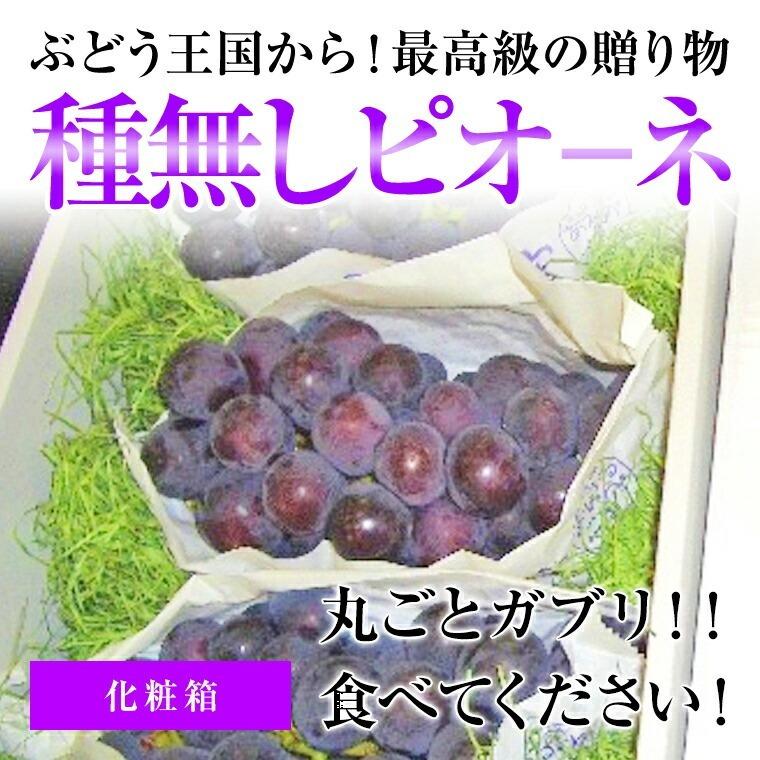 果物ギフト 食の宝石箱 フルーツセット３種ギフト化粧箱 果物 詰め合わせ  フルーツ 盛り合わせ