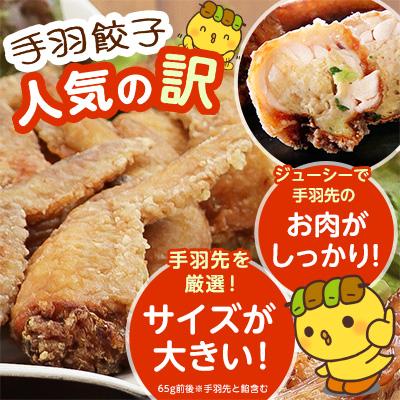 ふるさと納税 香取市 2年連続グルメ大賞受賞!手羽先餃子20本セット 水郷のとりやさん