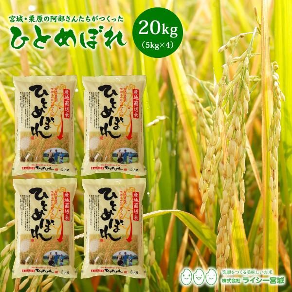 新米 ひとめぼれ 米 20kg 令和5年産 5kgx4袋 お米 宮城県産 白米 送料無料 精白米 産地直送