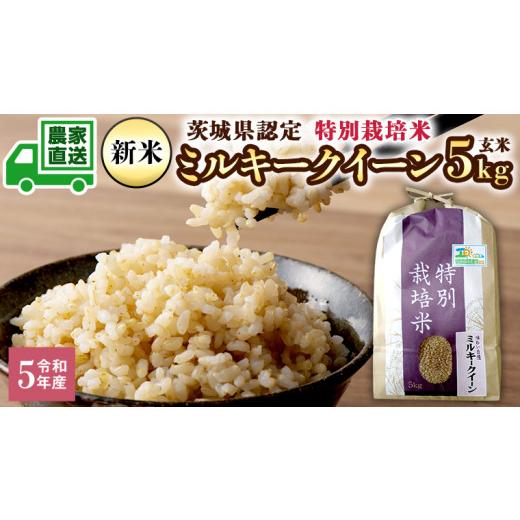 ふるさと納税 茨城県 八千代町 令和5年産 新米 茨城産 特別栽培米 ミルキークイーン 5kg 玄米 米 こめ コメ 茨城県 国産 いばらき 単一米 直送 [B…