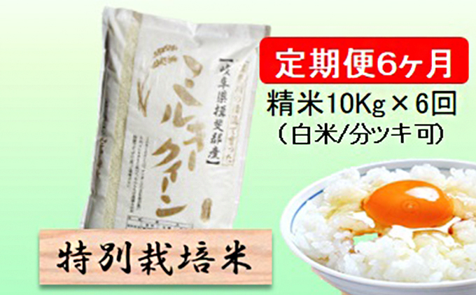 特別栽培米★[定期便] 6カ月★毎月 精米10kg（白米 7分 5分ツキ可）　玄米は別に出品