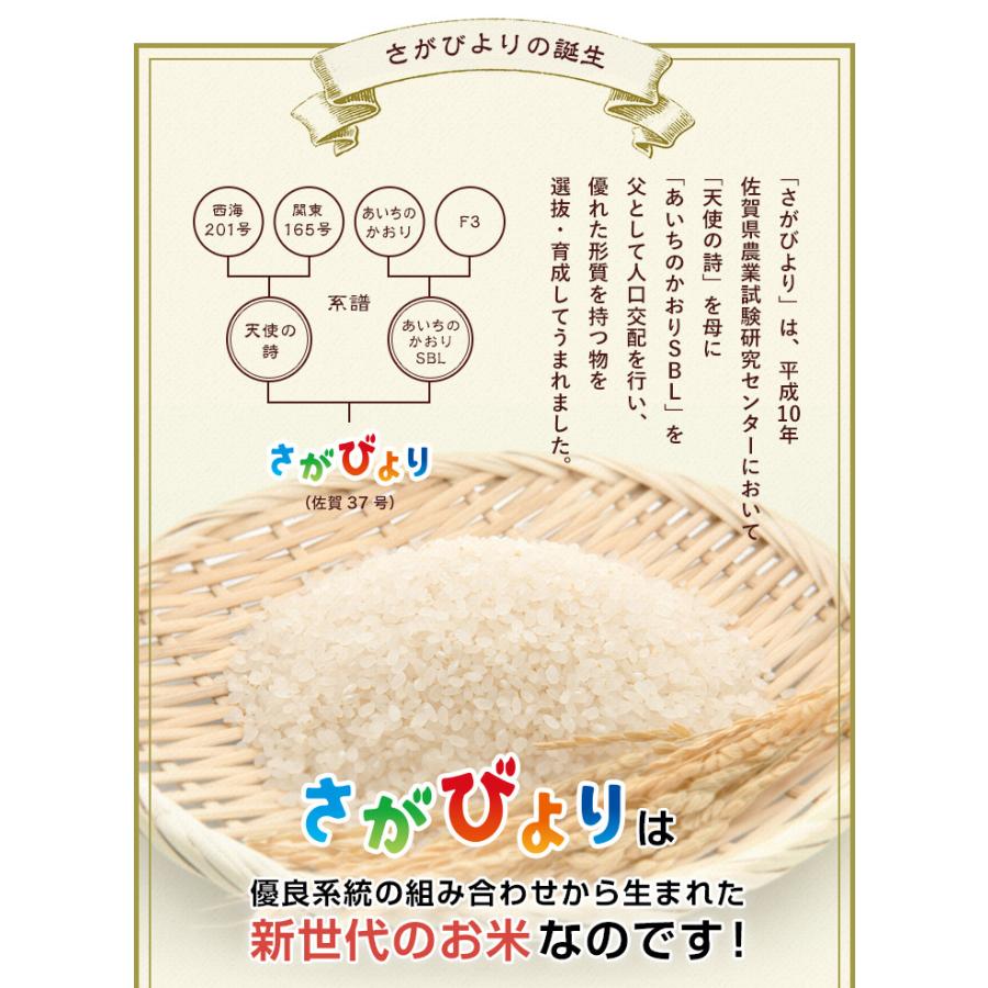 新米　お米 10kg さがびより 佐賀県産 令和5年産 5kg×2袋