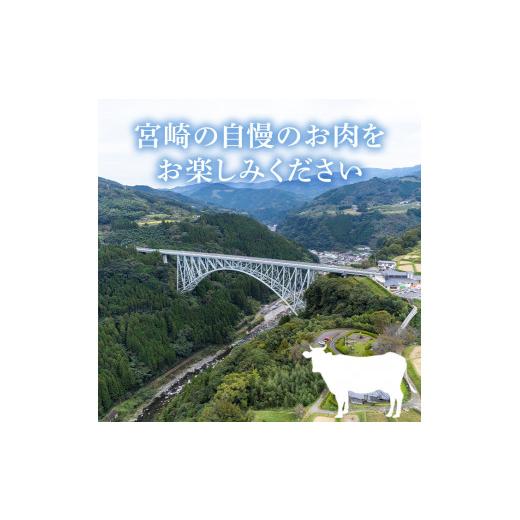 ふるさと納税 宮崎県 日之影町 宮崎県産 黒毛和牛 切落し 焼肉(計1kg・500g×2)