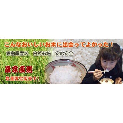 特別栽培米 あわみのり 四国徳島県産100％ おいしいお米 白米10kg （農家直送）令和5年産 新米