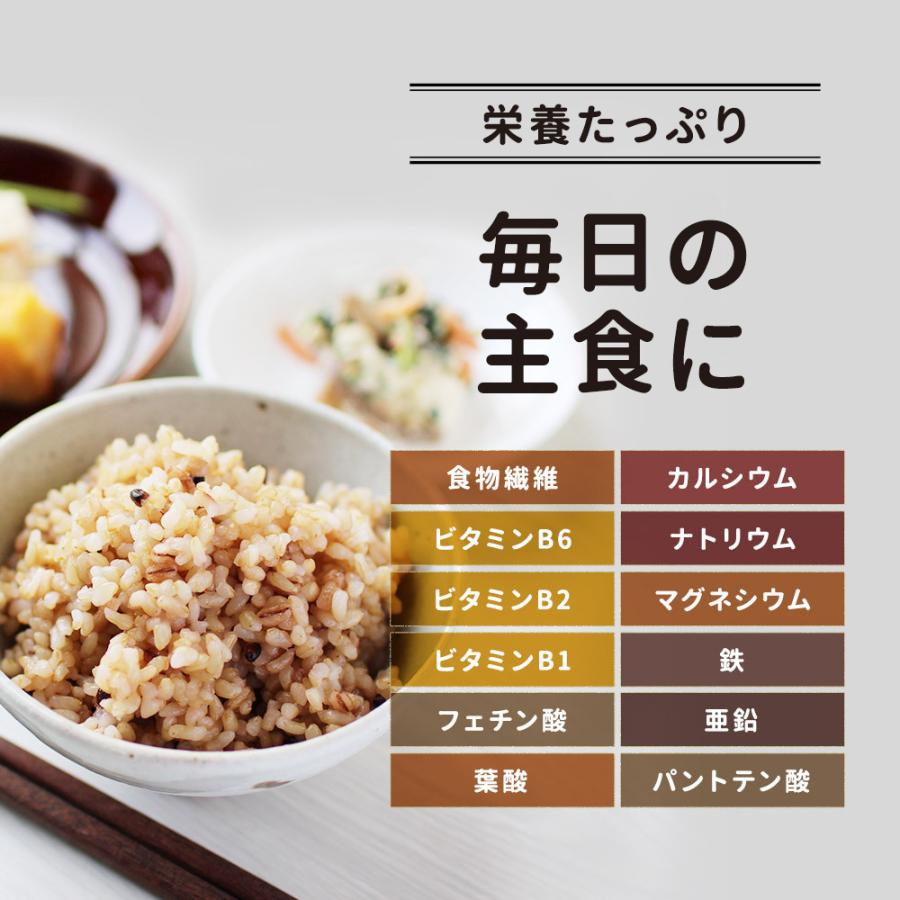 100%有機原料 玄米レトルトパックご飯 160g×5個 送料無料 おにぎり お弁当 TSG