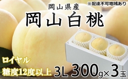 白桃 ロイヤル 3玉×約300g（3Lサイズ） JA おかやま のもも（早生種・中生種） 岡山県産 桃 もも 果物 フルーツ 2023年 先行予約