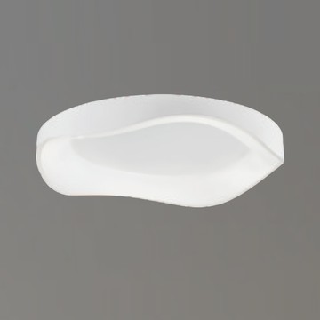 LED36W/48W 三色切換吸頂燈 F37-21-91843、91844