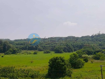 專任|新竹海山段工業地|道路用地C｜新竹市新竹市海山段