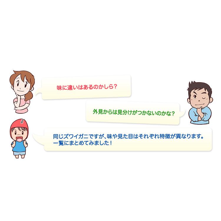 かに カニ 蟹 ズワイガニ 生 超特大10L生大ずわい 半むき身満足セット 2kg超（総重量約2.4kg）