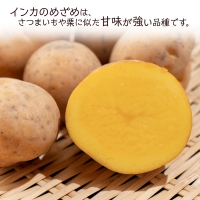 馬鈴しょインカのめざめ 5kg×２箱