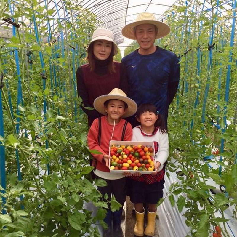 トマト　産地直送　サザキ農園の「アイコ」3kg　野菜　LINEショッピング