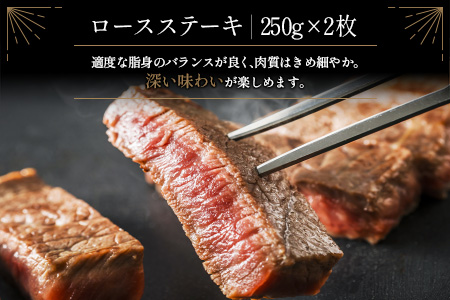 ≪肉質等級A4ランク≫宮崎牛 ロースステーキ 合計500g（250g×2枚）※90日以内に発送