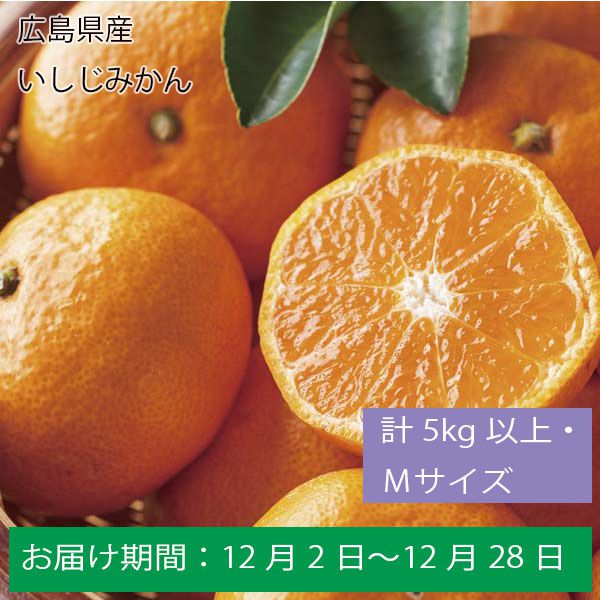 広島県産いしじみかん計５Kg以上・Ｍサイズ