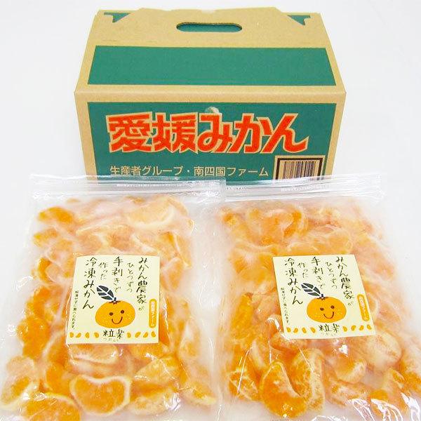 冷凍フルーツ 冷凍みかん 愛媛県 フルーツ 500ｇ 2袋 合計1kg 粒楽 家庭用・おやつ・ギフト・送料無料